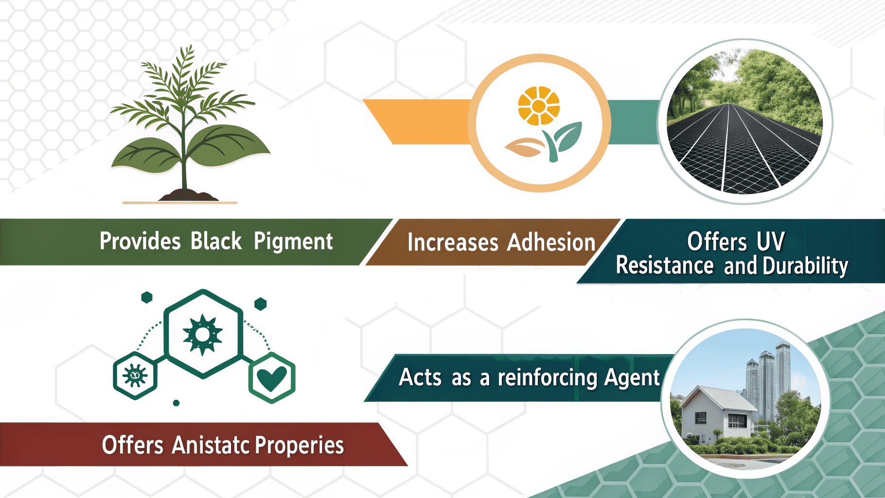 Understanding Black Carbon’s Role